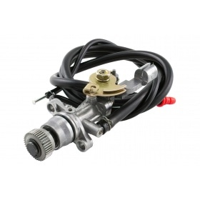 Oil Pump Minarelli vertical