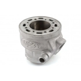 2Fast Cylinder 100cc Yamaha Aerox / MBK Nitro