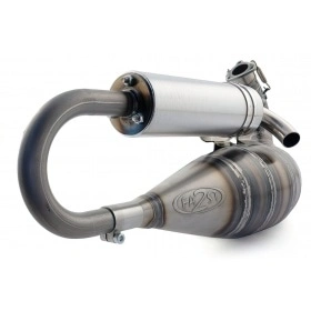 2Fast Exhaust FL100 for Malossi C-One / RC-One crankcase