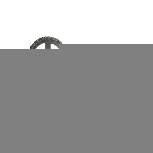 Chain Kit AFAM 13x38 Honda TRX 300 EX before 2008 Chain Kit AFAM 13x38 Honda TRX 300 EX before 2008