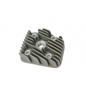 Airsal Cylinder Head 