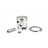 Cylinder Athena Alu 63cc pin 10mm Piaggio Ciao Cylinder Athena Alu 63cc pin 10mm Piaggio Ciao