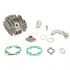 Cylinder Athena Alu 50 Sachs Hercules with intake kit Cylinder Athena Alu 50 Sachs Hercules with intake kit
