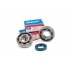 Crankshaft Bearing Set Piaggio Ciao Athena Crankshaft Bearing Set Piaggio Ciao Athena