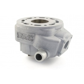 Cylinder Bidalot RF70WR Derbi Euro2