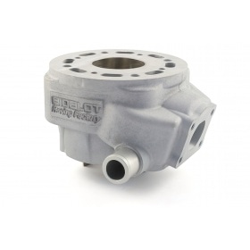 Bidalot Cylinder Kit Racing V2 RF50WR Derbi Euro2