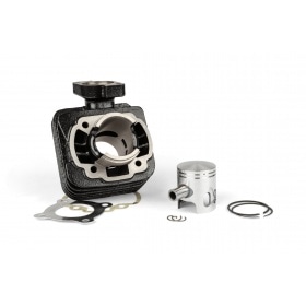 Cylinder kit DR Evolution 50cc, Peugeot vertical AC, d=40mm, without cylinder head