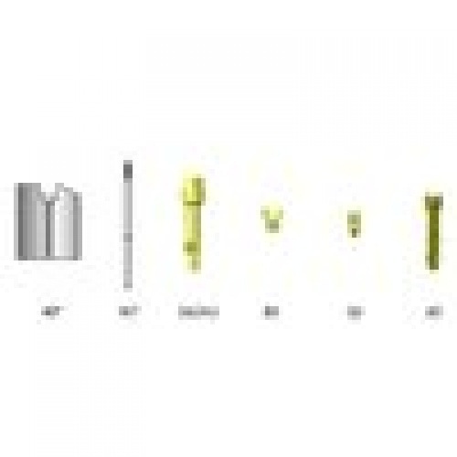 Carburetor Dell'orto PHBG 19 AD Carburetor Dell'orto PHBG 19 AD