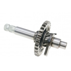 Starta vārpsta Derbi Euro 3 (D50B0)