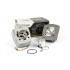Cylinder Kit Doppler 50cc Alu ER1 Peugeot 103 AC Cylinder Kit Doppler 50cc Alu ER1 Peugeot 103 AC