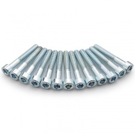 Engine Bolt Set Easyboost AM6