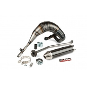 Exhaust with silencer carbon Giannelli Generic Trigger