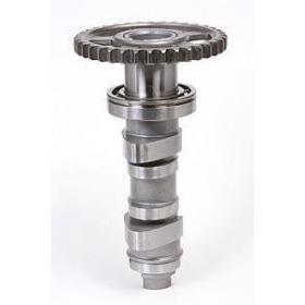 Sadales vārpsta Stage 1 Hot Cams Honda CRF 450 2009