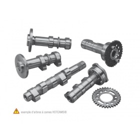 Sadales vārpstas ieplūdes Hot Cams Stage 2 RM-Z 450 2007