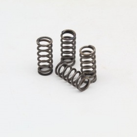 Clutch Springs Italkit AM6