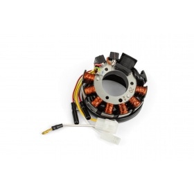 MVT External Rotor Ignition Millenium Derbi Euro 2/3 (except GPR)