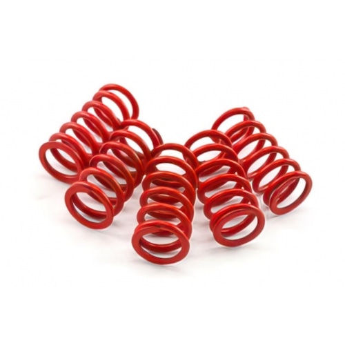 MVT Clutch Springs SRace AM6 MVT Clutch Springs SRace AM6