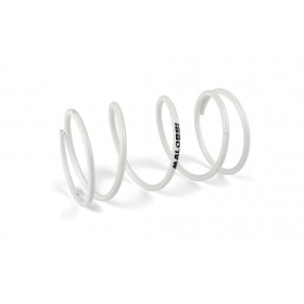 Griezes momenta atspere Malossi balta maxiscooters Piaggio MP3 / X-Evo 250cc