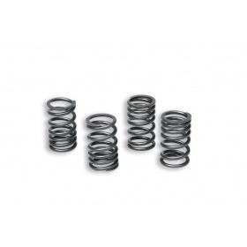Malossi Clutch Springs Racing AM6
