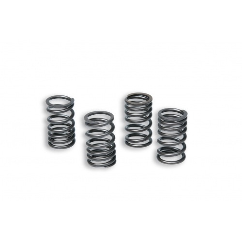 Malossi Clutch Springs Racing AM6 Malossi Clutch Springs Racing AM6