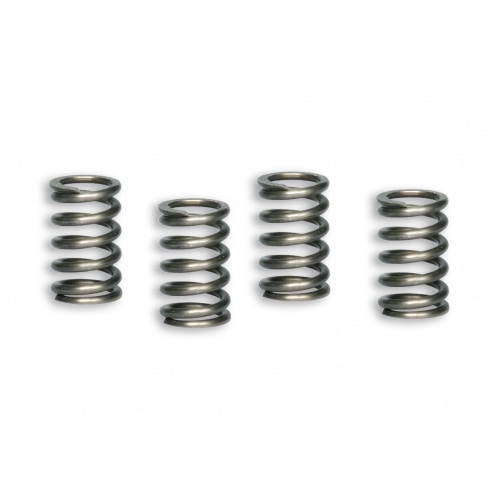 Clutch Springs Malossi Racing Lifan 110 - 150cc Clutch Springs Malossi Racing Lifan 110 - 150cc
