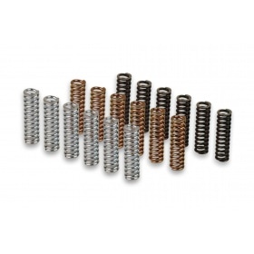 Malossi Racing Clutch Spring Set Yamaha T-Max 500cc before 2011