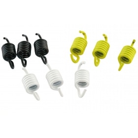 Sajūga atsperu komplekts Malossi, CPI