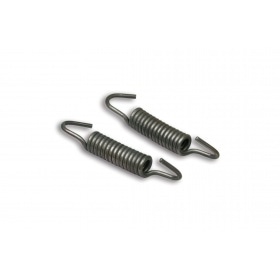 Brake Shoe Springs Malossi