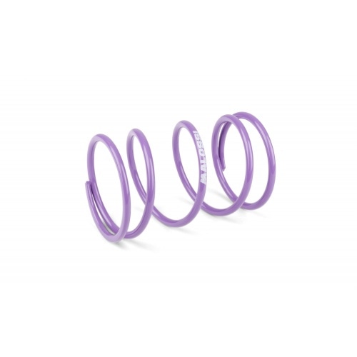 Malossi Torque Spring Racing Piaggio / Peugeot Malossi Torque Spring Racing Piaggio / Peugeot