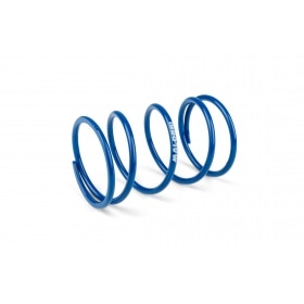 Malossi Torque Spring Racing Piaggio / Peugeot