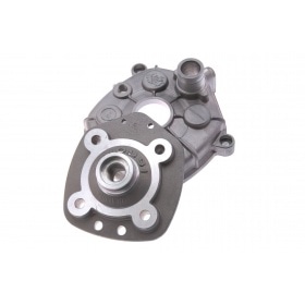 Malossi Cylinder Kit