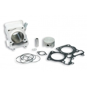 Malossi Cylinder (d=61mm) Honda SH / Pantheon 150cc