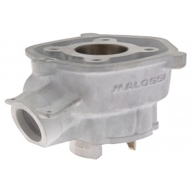 Malossi Cylinder Kit