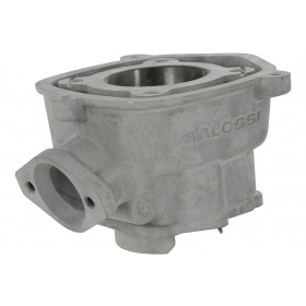 Malossi Cylinder Kit