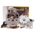 Malossi Cylinder Kit Malossi Cylinder Kit