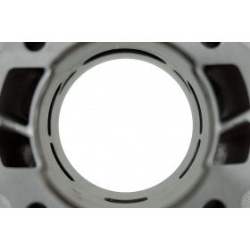 Malossi Cylinder Kit