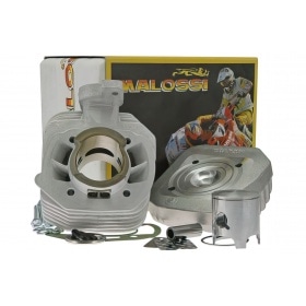 Malossi Cylinder Kit