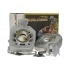 Malossi Cylinder Kit Malossi Cylinder Kit