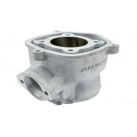Malossi Cylinder Kit