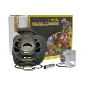 Malossi Cylinder Kit 