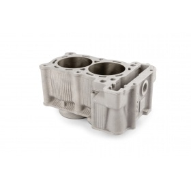 Divu cilindru Malossi 560cc Yamaha Tmax 530cc