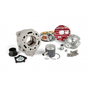 Cylinder Malossi Testa Rossa FL100 for Malossi RC-One case