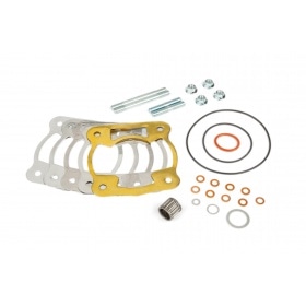 Cylinder Malossi Testa Rossa FL100 for Malossi RC-One case