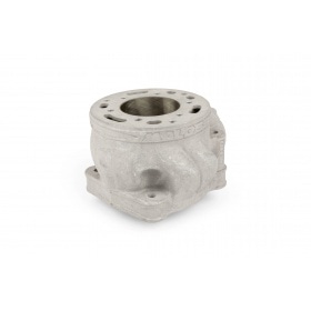 Cylinder Malossi Testa Rossa FL100 for Malossi RC-One case