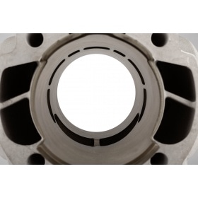 Cylinder Kit Malossi Testa Rossa FL100 AM6