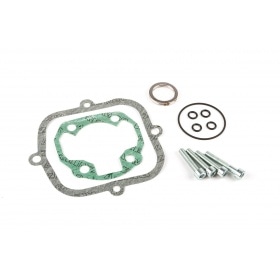 Malossi Cylinder Kit