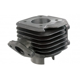 Malossi Cylinder Kit