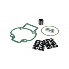 Malossi Cylinder Kit