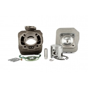 Malossi Cylinder Kit