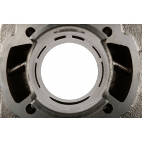 Malossi Cylinder Kit